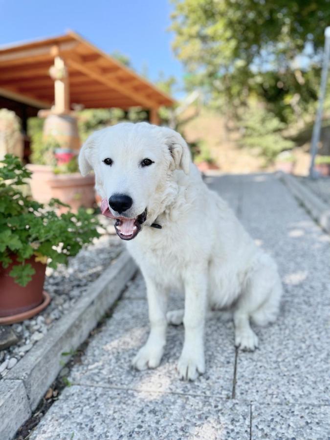 La Tana Del Picchio Neviano degli Arduini Exterior foto