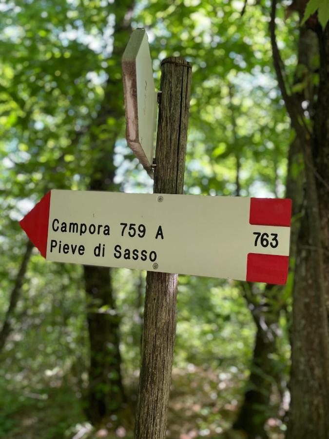 La Tana Del Picchio Neviano degli Arduini Exterior foto