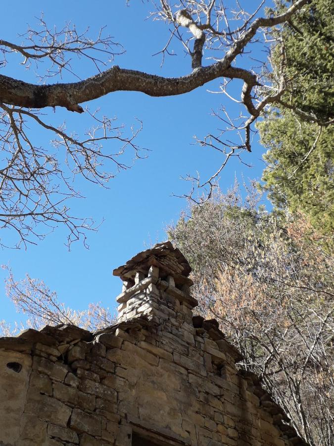 La Tana Del Picchio Neviano degli Arduini Exterior foto