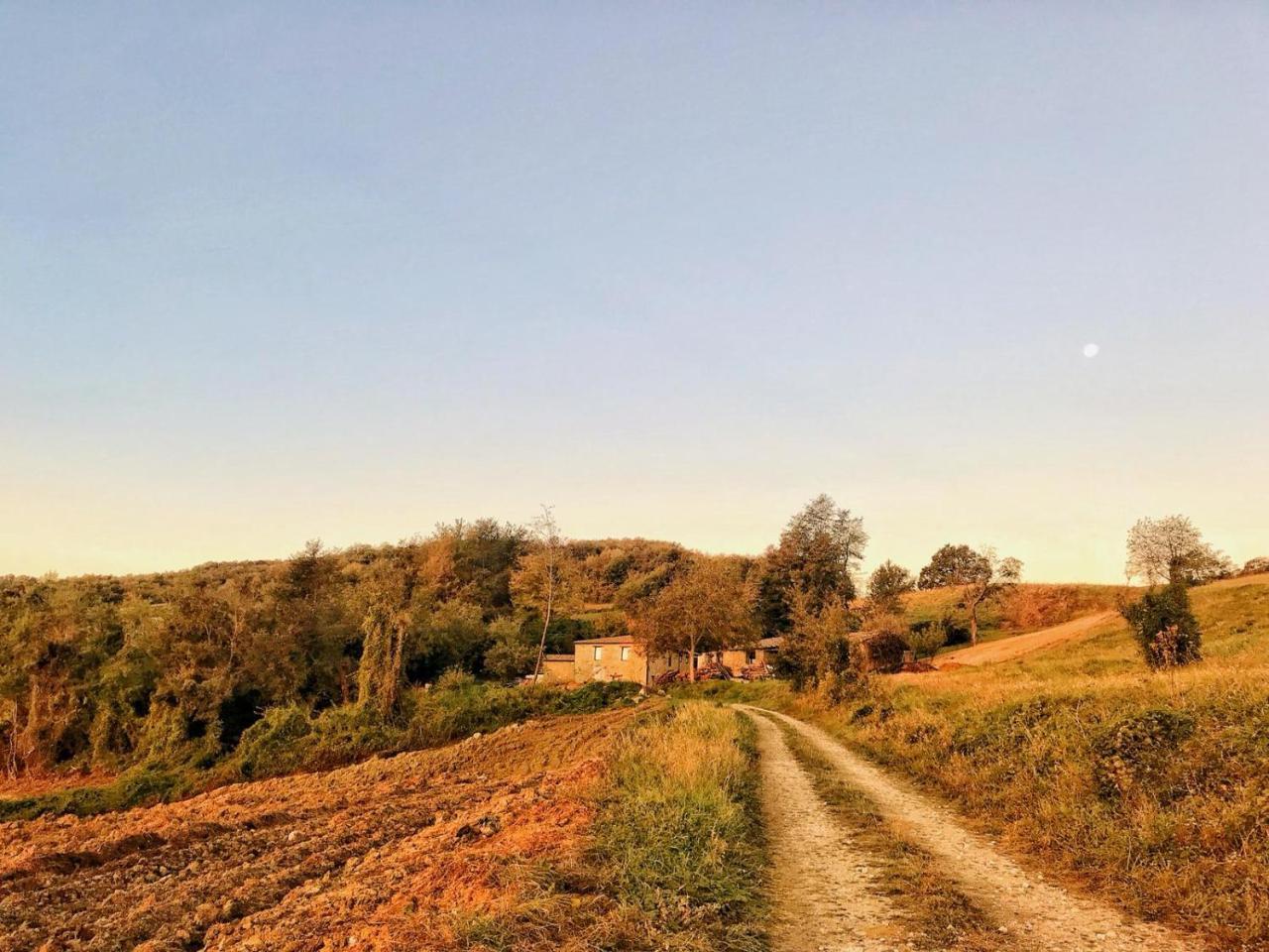 La Tana Del Picchio Neviano degli Arduini Exterior foto